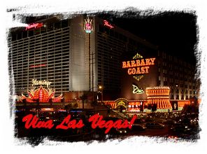 Viva Las Vegas!  The Strip at night!