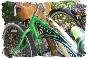 robbie's customized studio bike, with its distinctive 